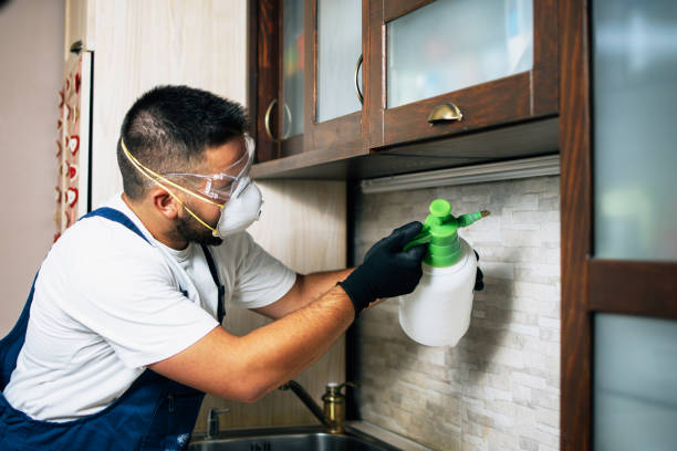 Best Ant Control Services  in Fort Knox, KY