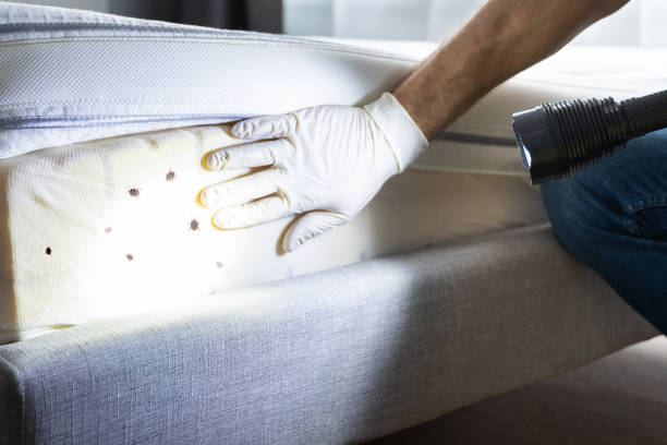 Best Bed Bug Extermination  in Fort Knox, KY